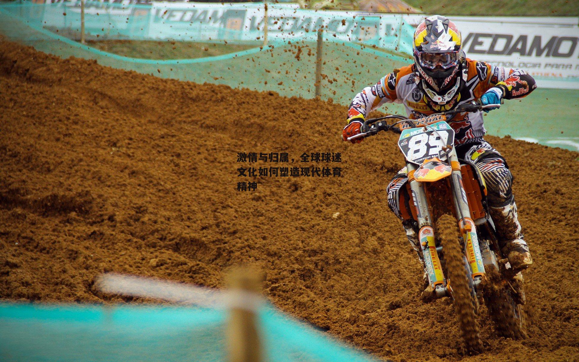 激情与归属，全球球迷文化如何塑造现代体育精神