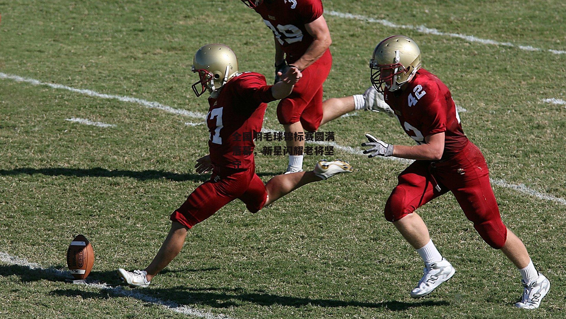 全国羽毛球锦标赛圆满落幕,新星闪耀老将坚守