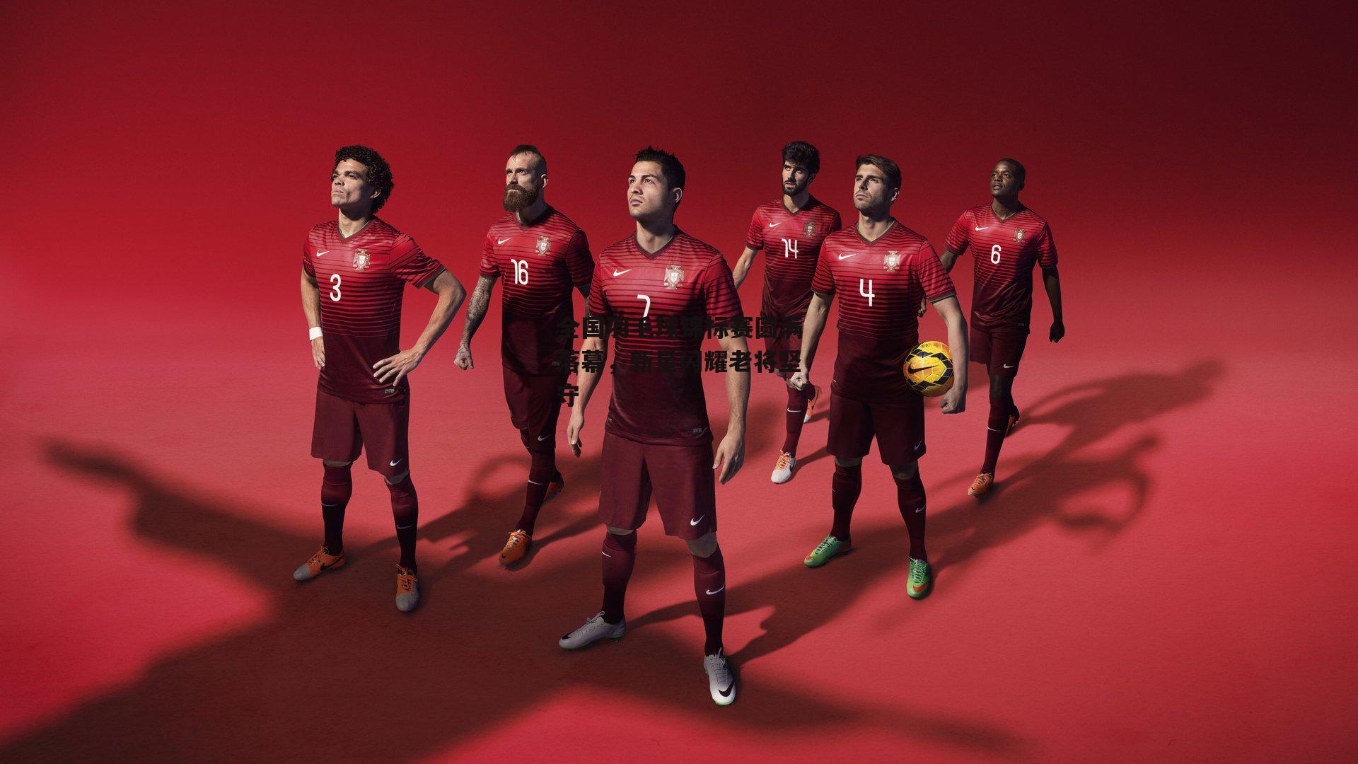 全国羽毛球锦标赛圆满落幕,新星闪耀老将坚守