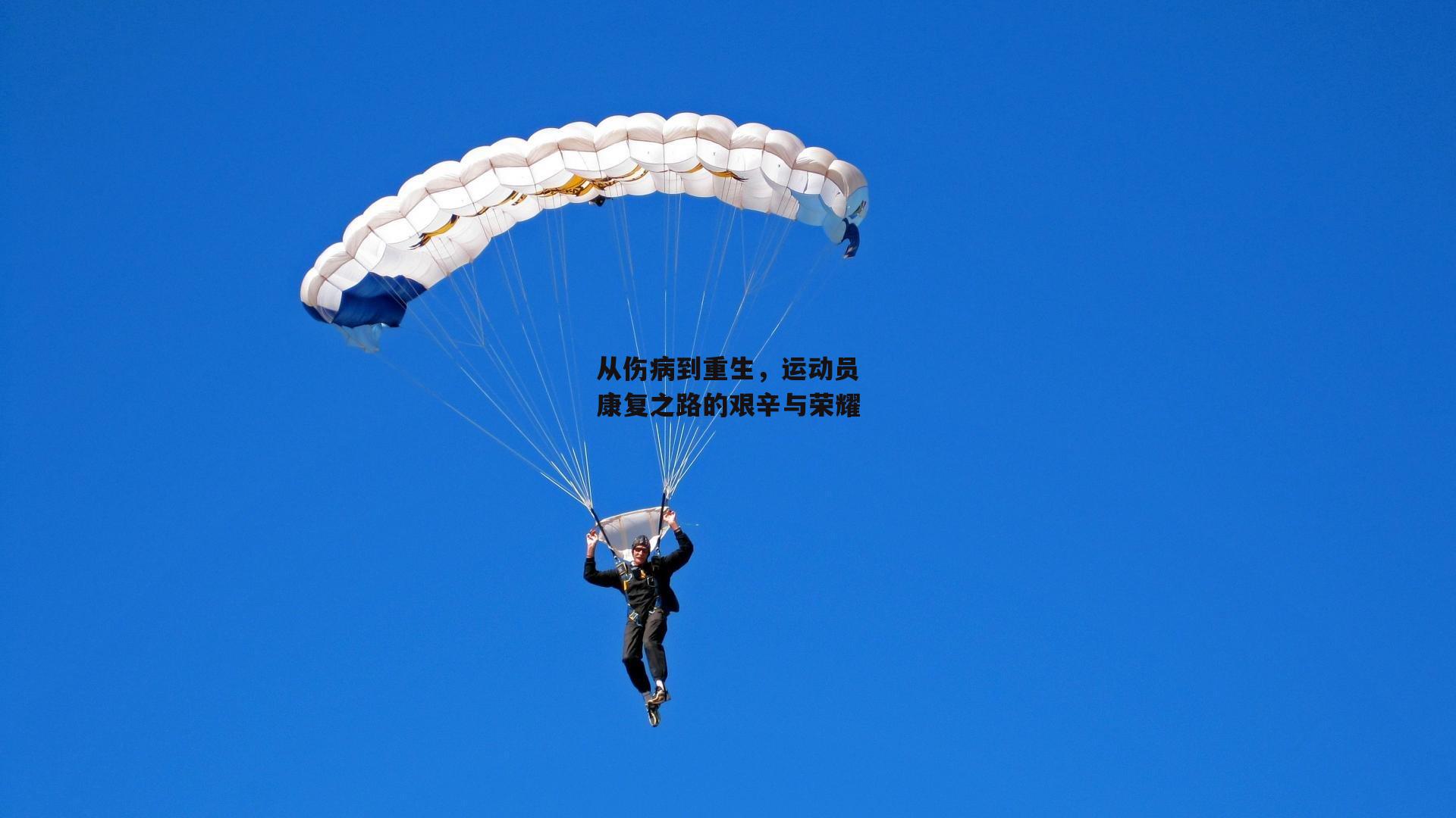 从伤病到重生,运动员康复之路的艰辛与荣耀