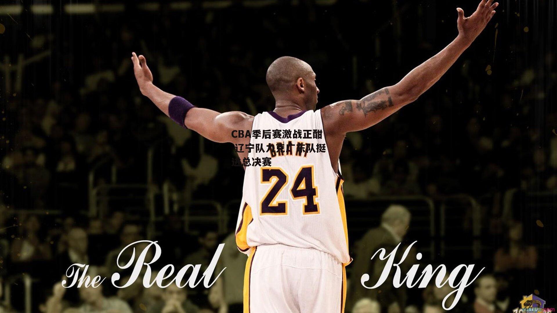CBA季后赛激战正酣 辽宁队力克广东队挺进总决赛