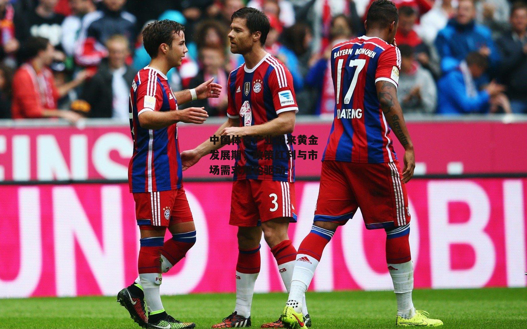 中国体育产业迎来黄金发展期，政策红利与市场需求双轮驱动