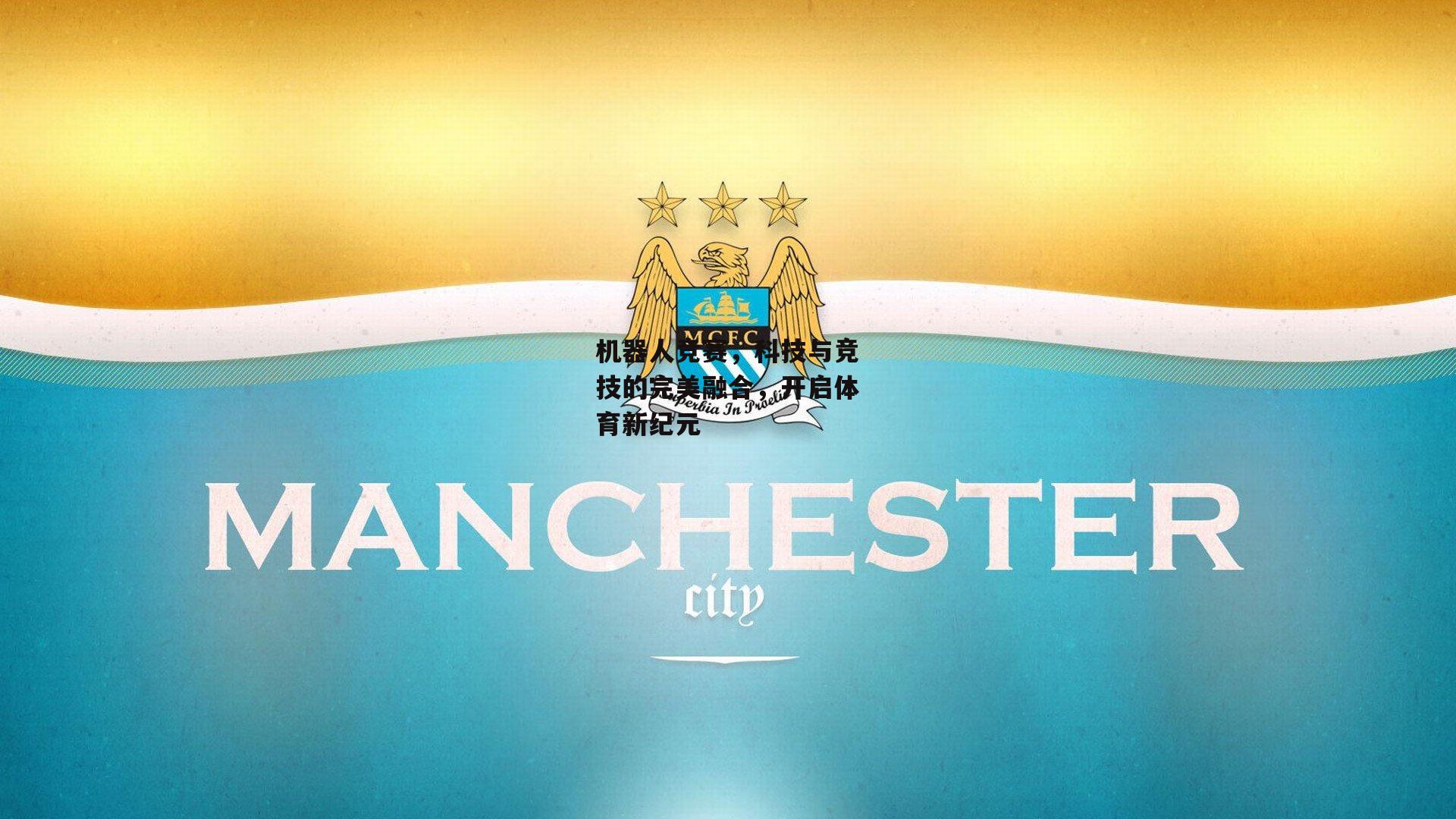 机器人竞赛，科技与竞技的完美融合，开启体育新纪元